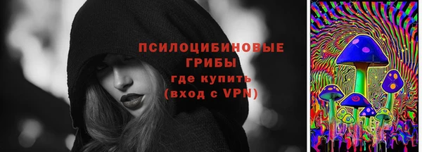 амф Балахна