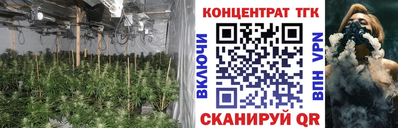 ТГК Wax  Макушино 